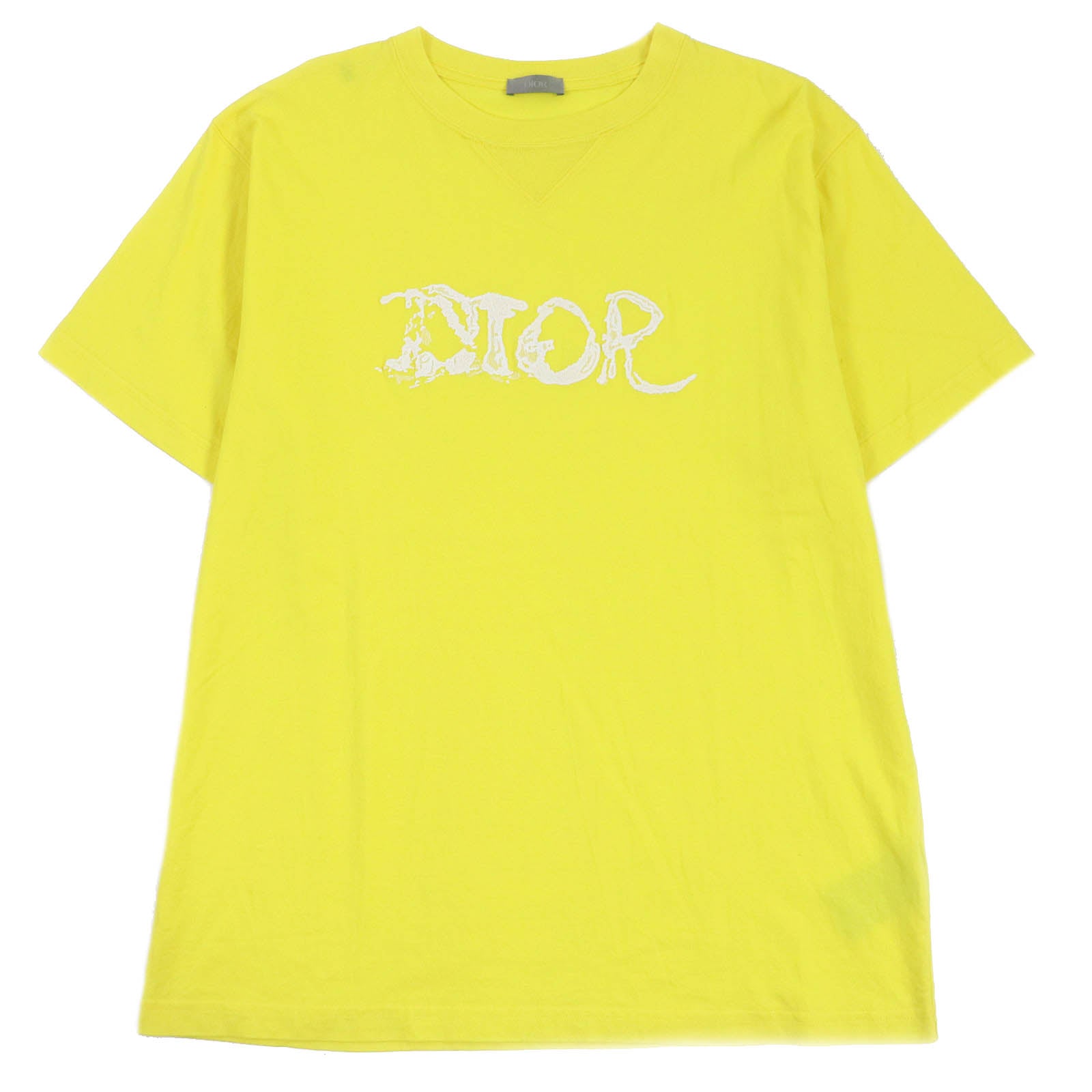 Great DIOR Short sleeve T-shirt Peter Doig collaboration mens XL 143J685C0677