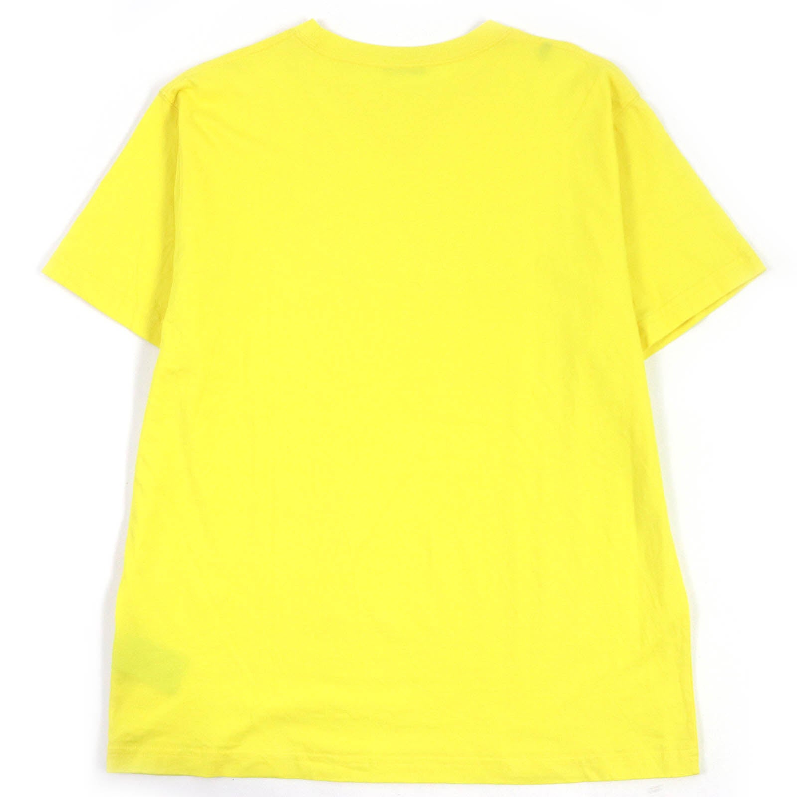 Great DIOR Short sleeve T-shirt Peter Doig collaboration mens XL 143J685C0677
