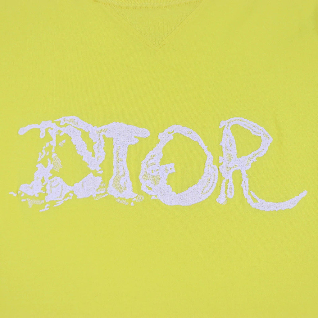 Great DIOR Short sleeve T-shirt Peter Doig collaboration mens XL 143J685C0677