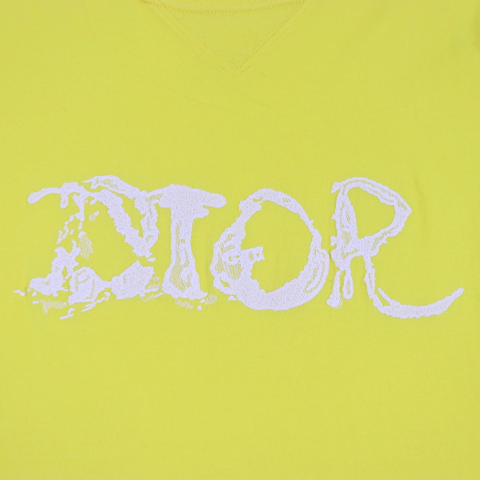 Great DIOR Short sleeve T-shirt Peter Doig collaboration mens XL 143J685C0677