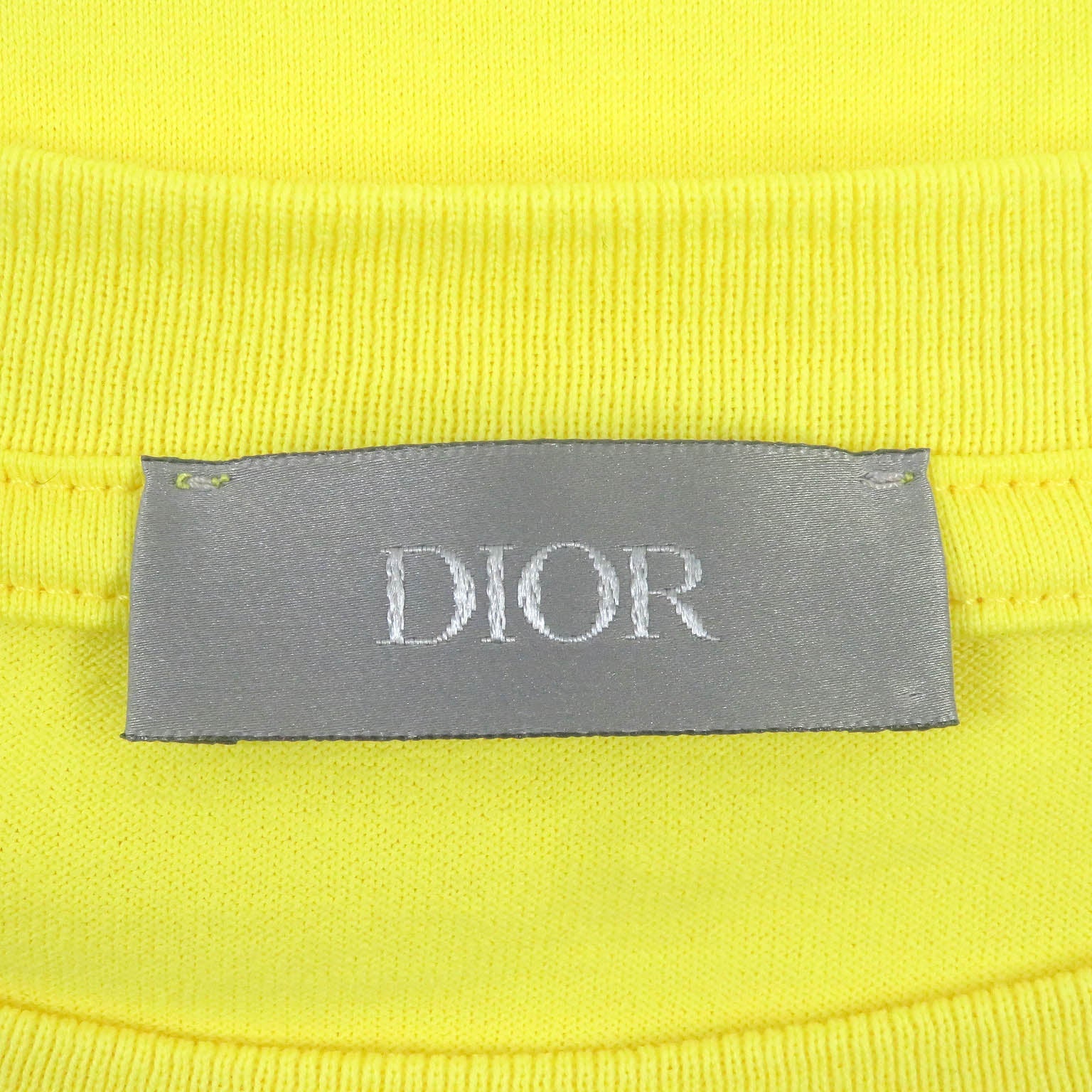 Great DIOR Short sleeve T-shirt Peter Doig collaboration mens XL 143J685C0677
