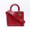 Dior Handbag Leopard Print 2-Way
