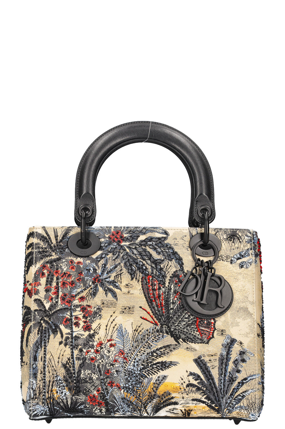 Dior Lady Dior Handbag